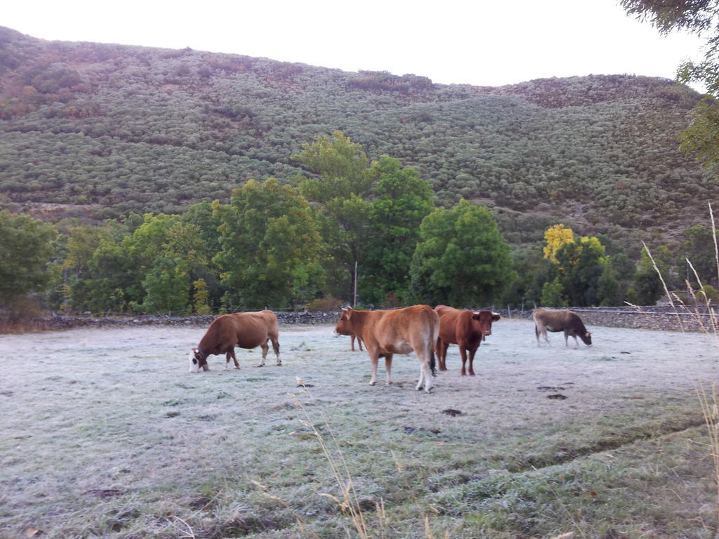 Casa Rural El Llao Y Los Fresnos Murias de Paredes Exterior foto